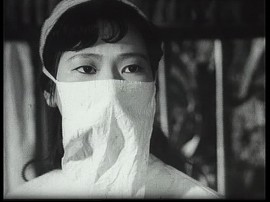 AFI-Song to the Front