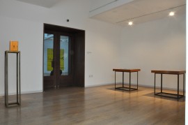 minerva-cuevas-scoop-2009