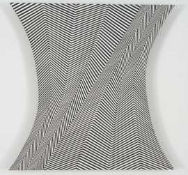 Bridget Riley Stretch 1964