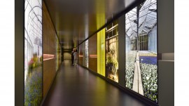 Maryline Migot, 2015