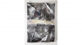 Marc Quinn The Toxic Sublime