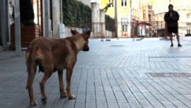 taskafa-storiesofthestreet-3-670×379