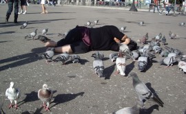 - Sonia Khurana, Logic of birds, 2006, video/photo series