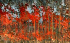 Ettrick by Jacques Perconte