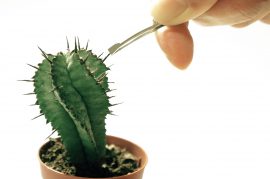 Still from a film titled Disarming 2.0