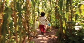 Whitechapel Gallery, The Poetics of the Reel, Sun 25 Jun, 7pm