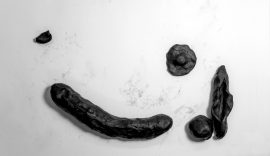 The Doubting Colloquy