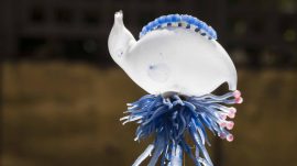 SurrealScience_WebCrop_V2-1