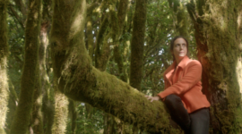 Common birds small snapshot