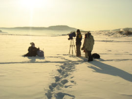 how is your fish today