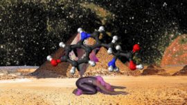 myspell.Still019-ConvertImage