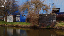 WormWood Streans Tereza Stehlikova 7