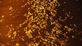 CDM_LondonRiverBurning_stills_002