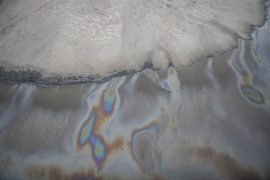 thumbnail_Petropolis_13