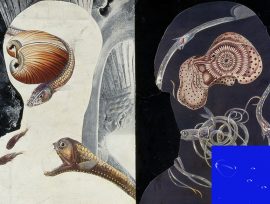 WaysOfKnowing_Creative_Web Thumbnail