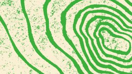 PftD_New Colours_Webcrop_2