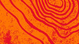 PftD_New Colours_Webcrop_3