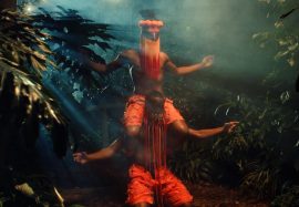 NocturnalCreatures_web thumbnail_ToGo