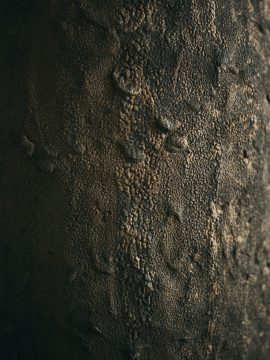 031820_TheasterGates_0378