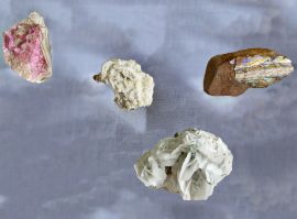 Goda Palekaite and Adrijana Gvozdenovic, Anthropomorphic Trouble (2021). Image courtesy of the artist.