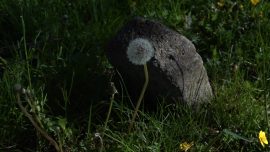 Emma Cheung_Passing Through