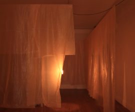 Photo by Tom Flanagan_Shelter_Jennie Moran