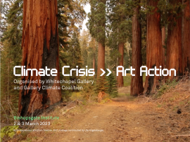 WC – Climate Crisis Art Action – Webpage Thumbnail