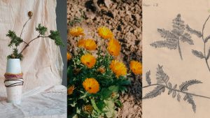 Composite image of dried flowers in a vase, yellow flowers in the soil, and a child's drawing of a plant