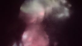 I took a walk in the woods