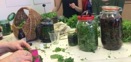 Assorted green herbs in jars on a table