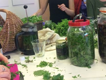 Assorted green herbs in jars on a table