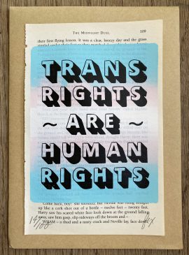 TRANS RIGHTS on book page4