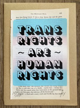 TRANS RIGHTS on book page4