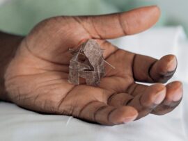 DR House of My Father