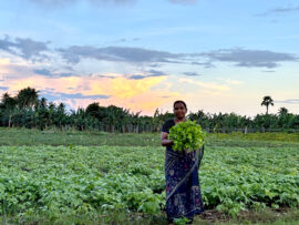 Photo credit – Heshani Sothiraj Eddleston