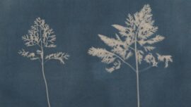 Joy Gregory Language of Flowers