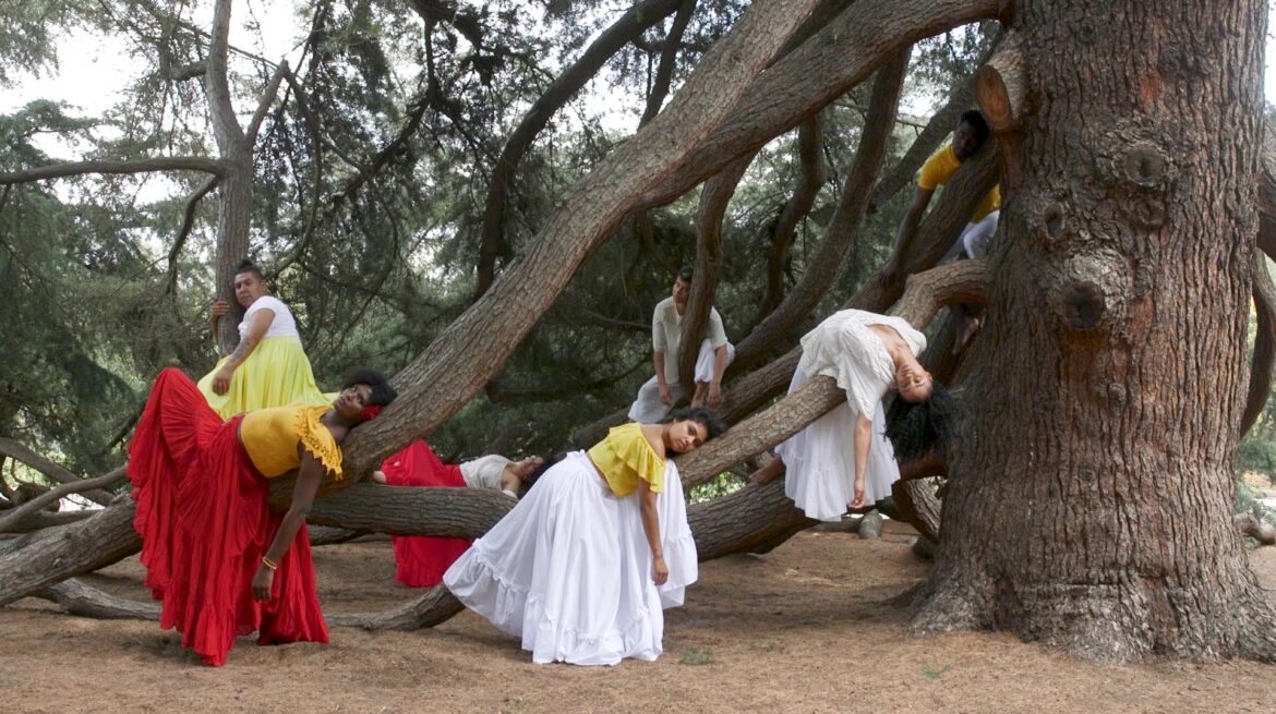 Caycedo Apariciones 2018 still 01