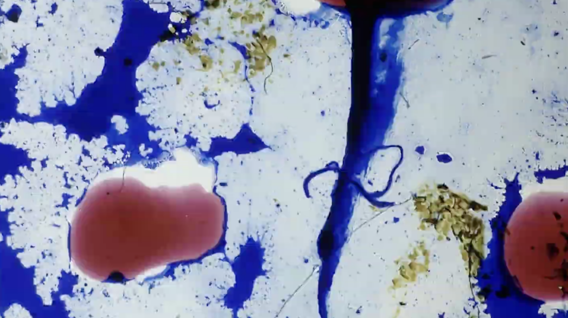 thumbnail_Screenshot 2025-08-19 at 12.28.07