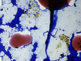 thumbnail_Screenshot 2025-08-19 at 12.28.07