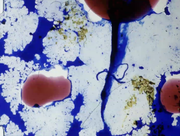 thumbnail_Screenshot 2025-08-19 at 12.28.07