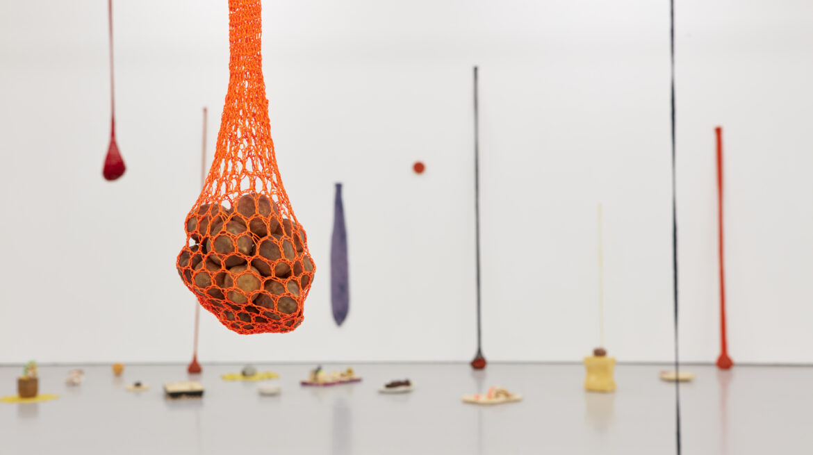 5. Veronica Ryan, Along a Spectrum, 2021