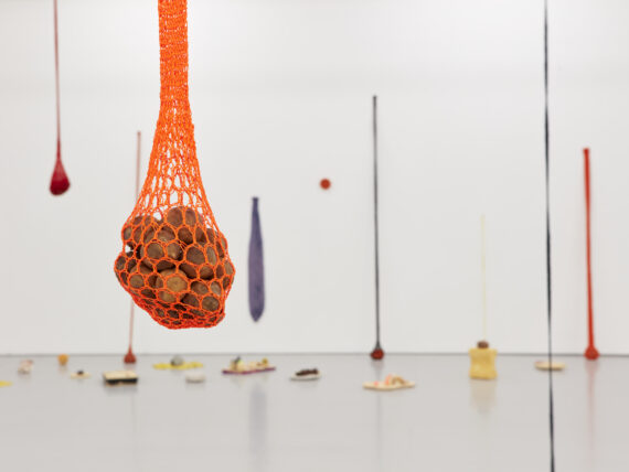 Veronica Ryan, Along a Spectrum, 2021