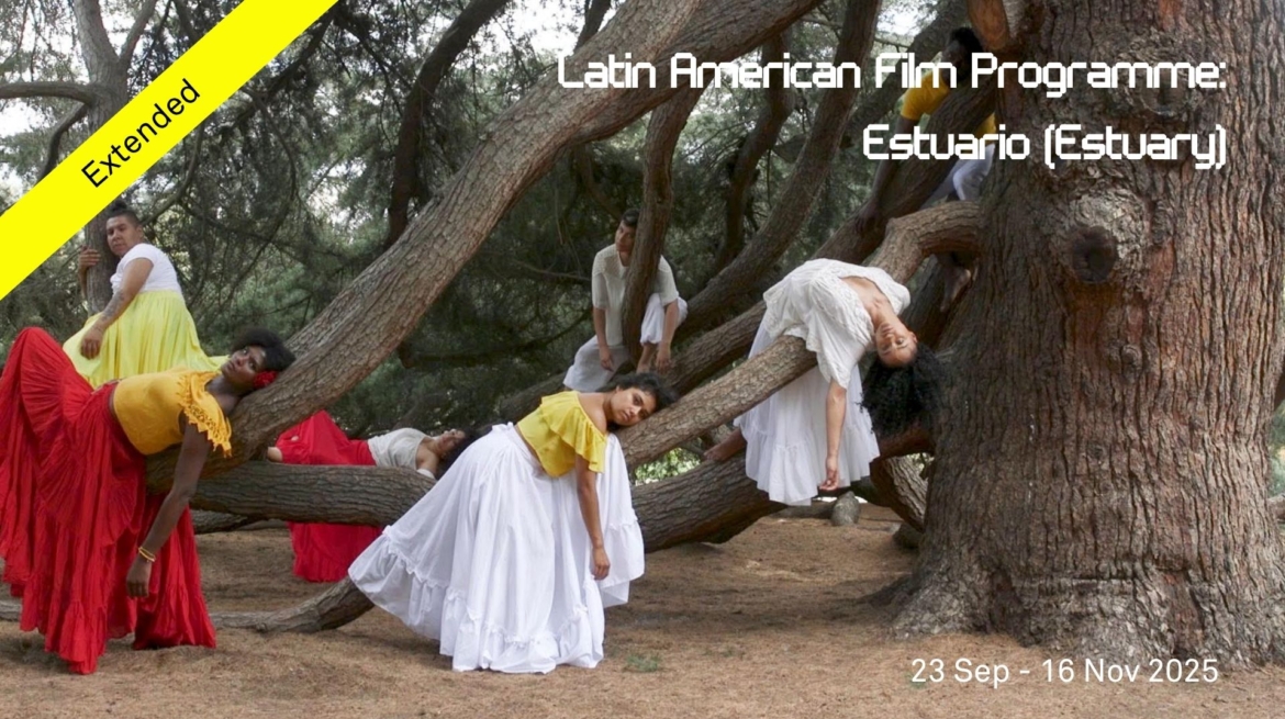 Estuario Extended Website Header