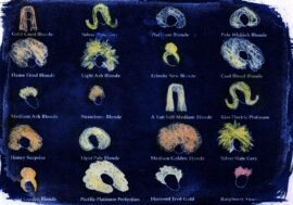 Look of Love Colour Chart