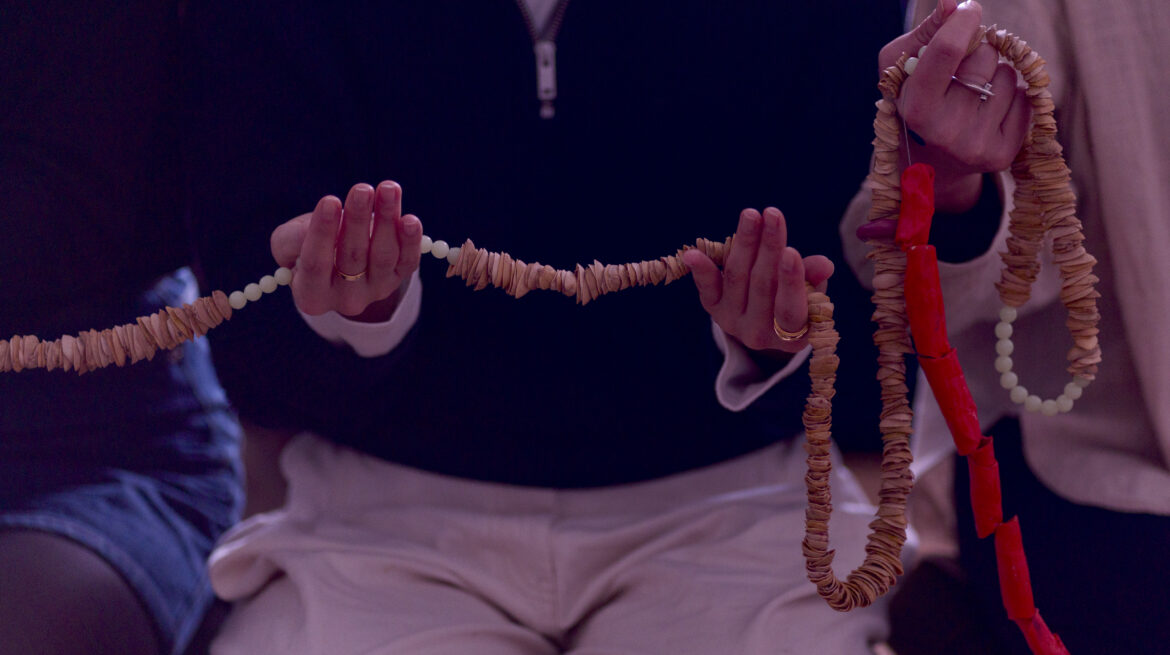 Photo credit © Anne TetzlafDSC01760