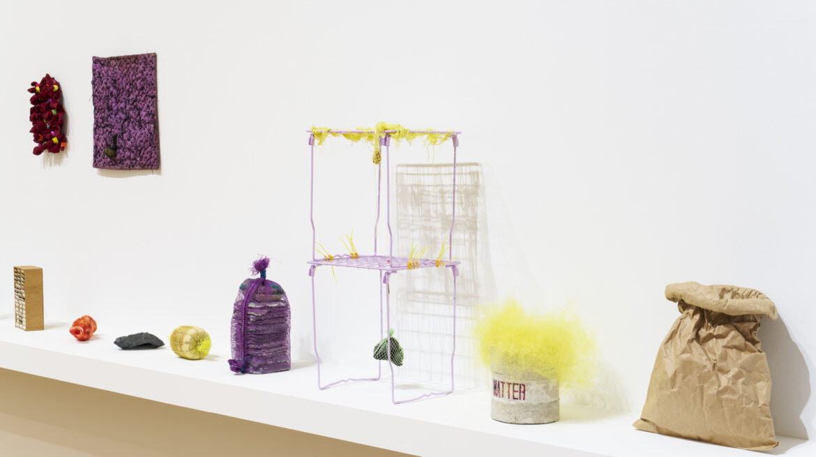 Photography by Dan Weill