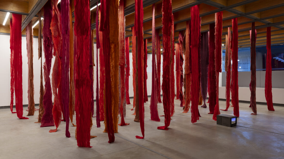 1. Cecilia Vicuña, Quipu menstrual 1, 2006 - 2024