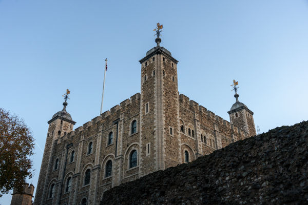 Imagining Animals | Tower of London