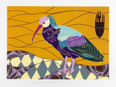 African Bird Magic II_2023_hi