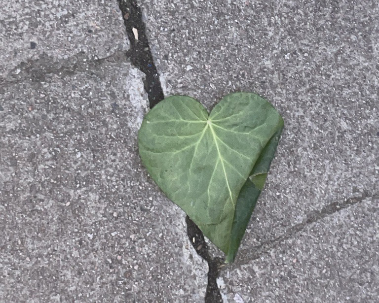 Conviviality as Resistance